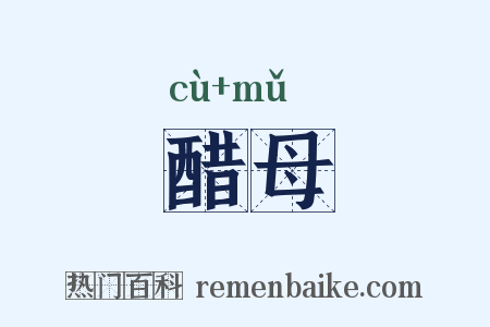 醋母是什么意思的图片